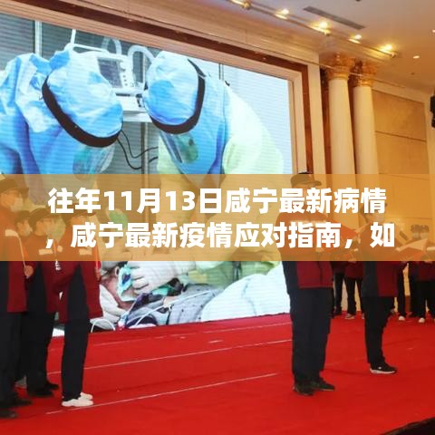 咸寧最新疫情動態(tài)及應(yīng)對指南，安全度過特殊時期的初學(xué)者與進階用戶指南（11月13日更新）