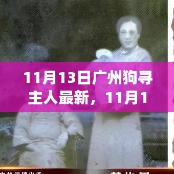 廣州狗狗尋找主人最新進(jìn)展，溫暖重逢與尋寵路上的希望（11月13日更新）