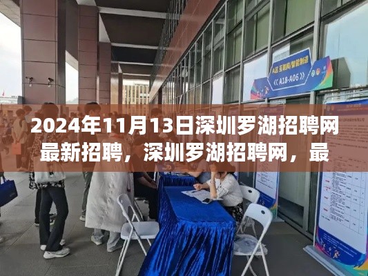 深圳羅湖招聘網(wǎng)最新動(dòng)態(tài)，2024年招聘趨勢(shì)與深遠(yuǎn)影響分析
