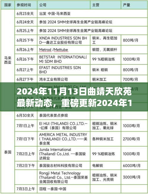 揭秘，2024年11月13日曲靖天欣苑最新動態(tài)重磅更新