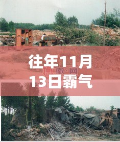 揭秘霸氣村崛起背后的故事與影響，往年11月13日的崛起之路探索