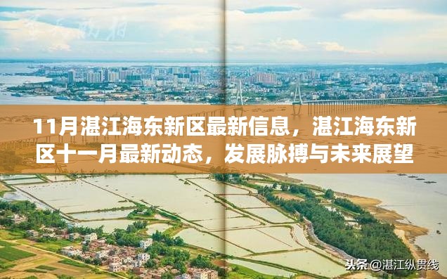 湛江海東新區(qū)十一月最新動態(tài)，發(fā)展脈搏、未來展望與最新信息速遞