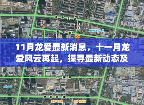 十一月龍愛風(fēng)云再起，最新動(dòng)態(tài)與時(shí)代地位探尋