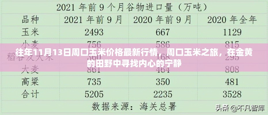 往年11月13日周口玉米價(jià)格更新，田野探索與內(nèi)心寧靜之旅