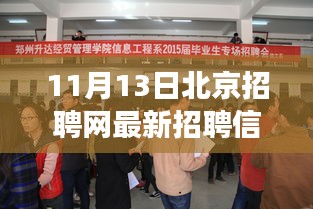 北京招聘網(wǎng)最新動(dòng)態(tài)，聚焦招聘信息下的職場(chǎng)洞察與觀點(diǎn)碰撞（11月13日）