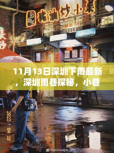 深圳雨巷探秘，美味驚喜與雨中的小巷風(fēng)情