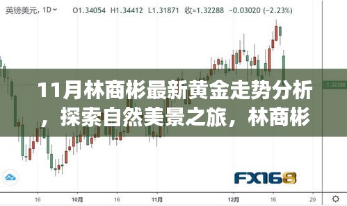 林商彬黃金走勢分析與自然美景探索，黃金與心靈的對話
