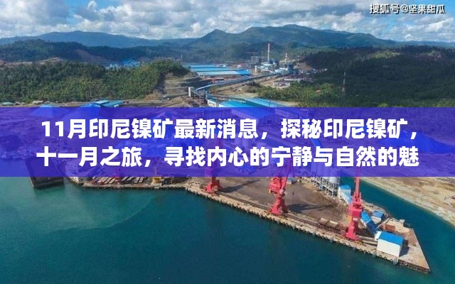 探秘印尼鎳礦，十一月之旅，與自然共舞，追尋內(nèi)心寧靜的魅力