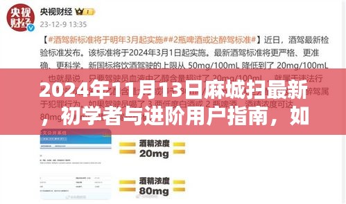 麻城掃最新技能指南，初學者與進階用戶如何掌握