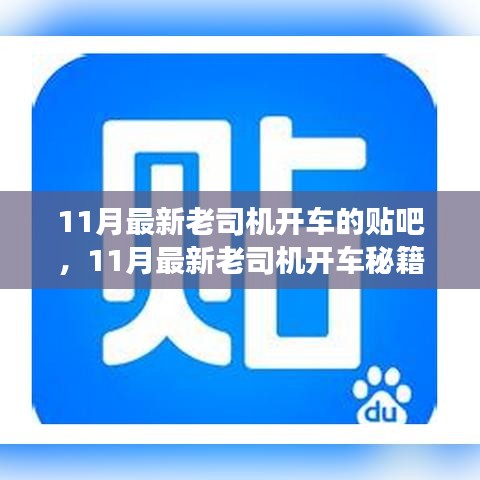 揭秘！11月最新老司機(jī)開車秘籍，貼吧駕駛技巧大解密！