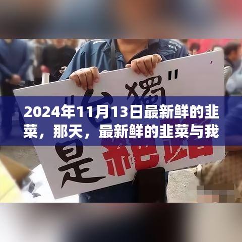 新鮮韭菜與溫馨故事，2024年11月13日的邂逅