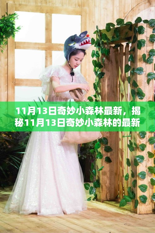 揭秘，最新動態(tài)，探索奇妙小森林的未知領域（日期，11月13日）