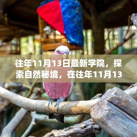 往年11月13日學院探索自然秘境之旅，追尋內(nèi)心的寧靜與笑聲