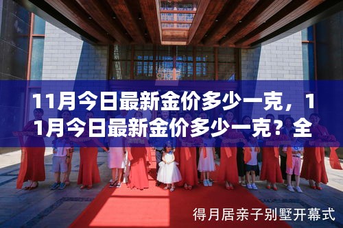 最新金價(jià)解析，11月黃金市場(chǎng)走勢(shì)及每克最新價(jià)格