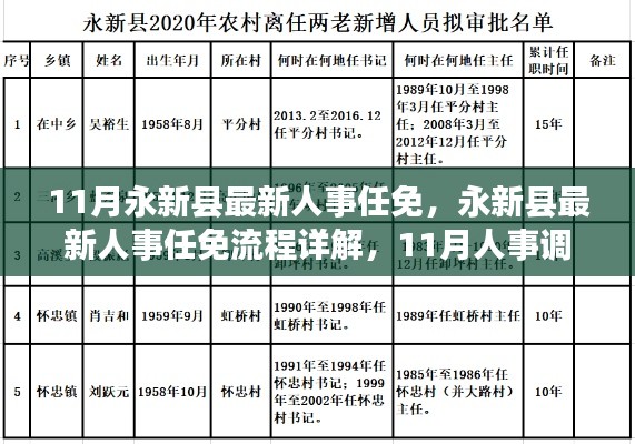 永新縣人事任免全解析，最新人事調(diào)整流程詳解與攻略