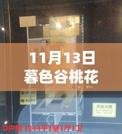 暮色谷桃花源最新動態(tài)深度解析，某某觀點揭秘與最新進(jìn)展