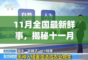 揭秘十一月全國新鮮事，熱點聚焦與科普解讀