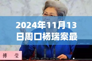 楊瑞案背后的故事，變化的力量與自信的重生最新進展，周口楊瑞案深度剖析（2024年11月13日）