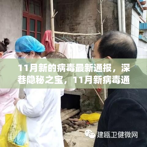 深巷美食與隱秘病毒，11月最新通報的雙重探索