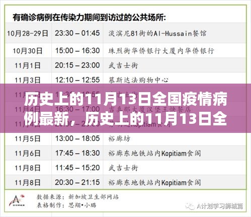 歷史上的11月13日全國(guó)疫情病例最新進(jìn)展與科普解讀，疫情動(dòng)態(tài)及影響分析