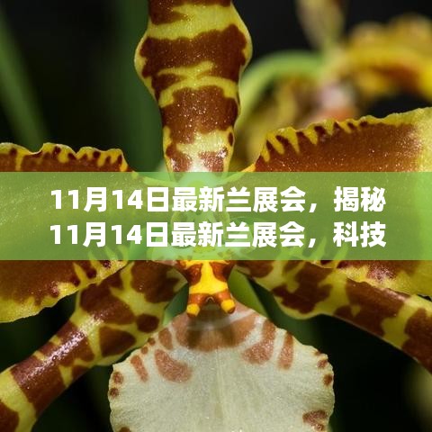 揭秘最新蘭展會，科技革新引領(lǐng)未來生活風(fēng)采展盛大開幕