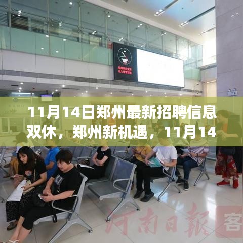 鄭州最新招聘信息揭秘，學(xué)習(xí)與成長之旅，雙休路上的自信與成就感