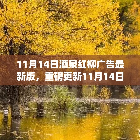 11月14日酒泉紅柳廣告最新版，重磅更新，精彩紛呈