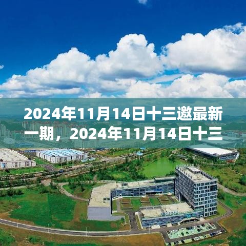 聚焦觀點之爭，深度解析2024年最新一期十三邀