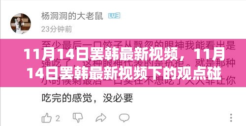 11月14日罷韓最新視頻，觀點(diǎn)碰撞與個(gè)人立場(chǎng)探討