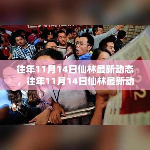 往年11月14日仙林動態(tài)深度解析，特性體驗、競品對比與用戶群體分析報告