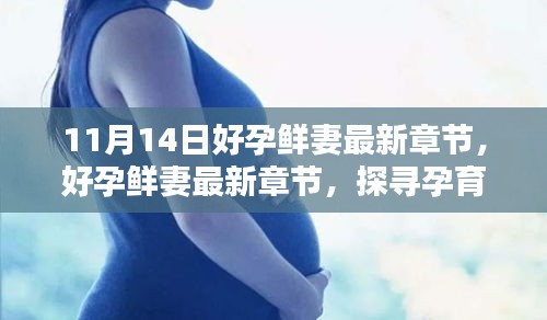 探尋孕育新生命的喜悅與挑戰(zhàn)，好孕鮮妻最新章節(jié)于11月14日更新