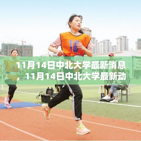 11月14日中北大學最新消息與動態(tài)速遞，校園熱點一覽