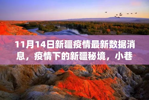 新疆疫情最新動態(tài)，秘境小巷的特色小店與疫情數(shù)據(jù)交織的故事