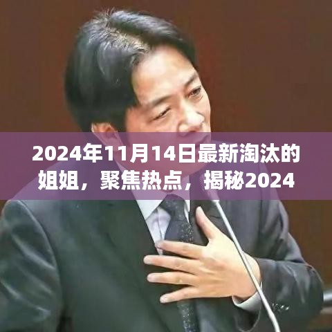揭秘，2024年11月14日最新淘汰的姐姐背后的故事與熱點聚焦