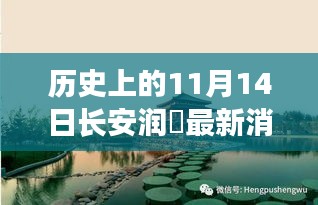 長安潤璟秘境探索，歷史與美食的碰撞時刻，最新消息揭秘秘密小店
