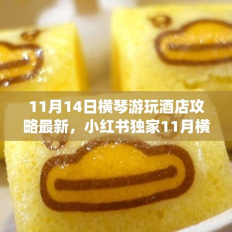 11月橫琴游玩酒店最新攻略，小紅書獨家指南，暢游無憂住宿體驗