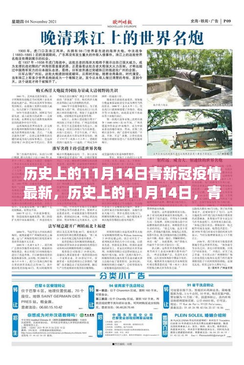 歷史上的11月14日，青新冠疫情最新進展及其社會反響與觀點碰撞