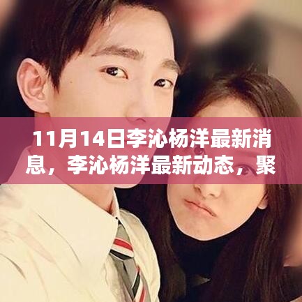 李沁楊洋最新動態(tài)深度解析，聚焦要點揭秘最新消息