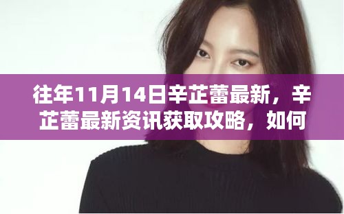 掌握往年11月14日辛芷蕾最新動(dòng)態(tài)，資訊獲取攻略