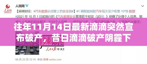 昔日滴滴破產(chǎn)陰霾下，自然綠洲的心靈庇護所
