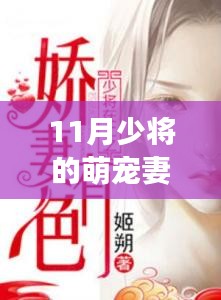 萌寵少將的甜蜜時光，溫馨日常的最新章節(jié)探索