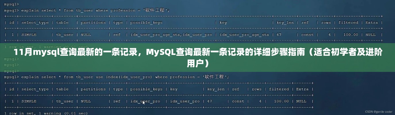 MySQL查詢(xún)最新記錄步驟詳解，從初學(xué)者到進(jìn)階用戶(hù)的指南