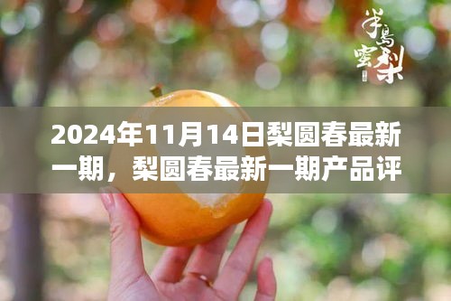 梨圓春產(chǎn)品評測報告，特性、體驗、對比與用戶需求深度解析