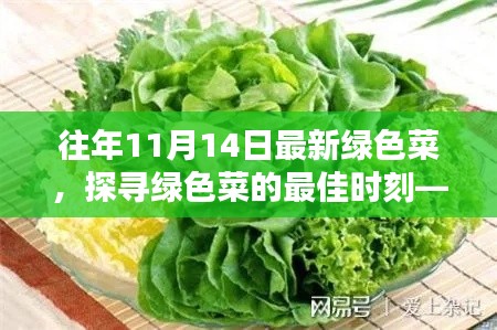 探尋綠色菜的最佳時(shí)刻，以往年11月14日為例的蔬菜盛宴