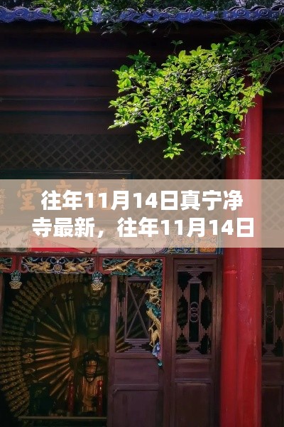 往年11月14日真寧凈寺探訪攻略，領(lǐng)略古寺魅力，最新指南全解析