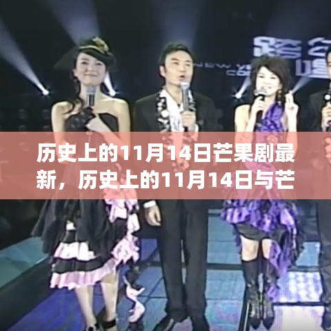 歷史上的11月14日，芒果劇最新動(dòng)態(tài)及其背后的價(jià)值變遷探究