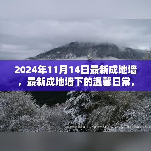 最新成地墻下的溫馨日常，友誼與愛共筑美好家園的2024年1月記事
