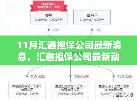匯通擔(dān)保公司最新動態(tài)解析及觀點探析，11月最新消息速遞
