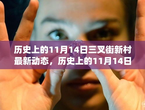 歷史上的11月14日三叉街新村最新動態(tài)揭秘，全方位解讀社區(qū)變遷與跟進策略