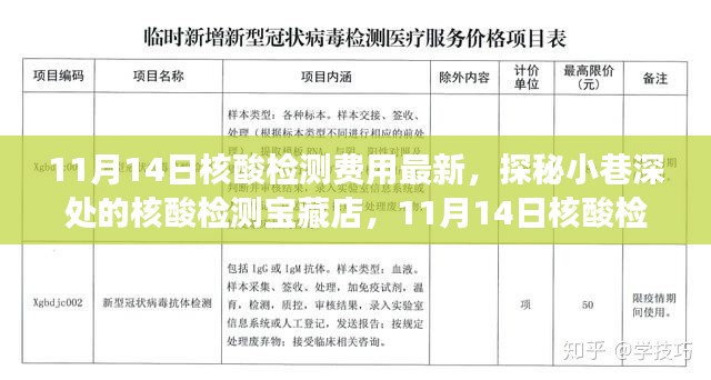 探秘核酸檢測(cè)寶藏店，揭秘最新核酸檢測(cè)費(fèi)用新鮮事（11月14日更新）